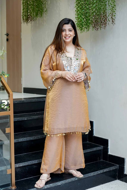 Alluring Brown Color Embroidery Work Palazzo Suit