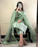 Fantastic Organza Green Color Salwar Suit