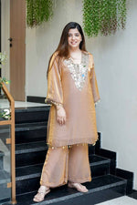 Alluring Brown Color Embroidery Work Palazzo Suit